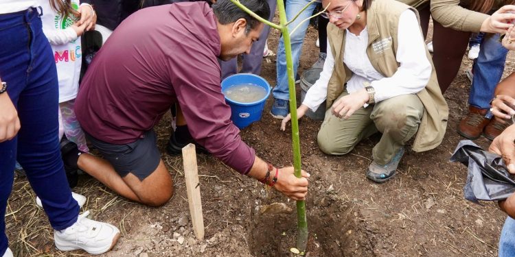 Impulsa Eduardo Ramírez campaña de reforestación “Siembra con conciencia” en Chiapas