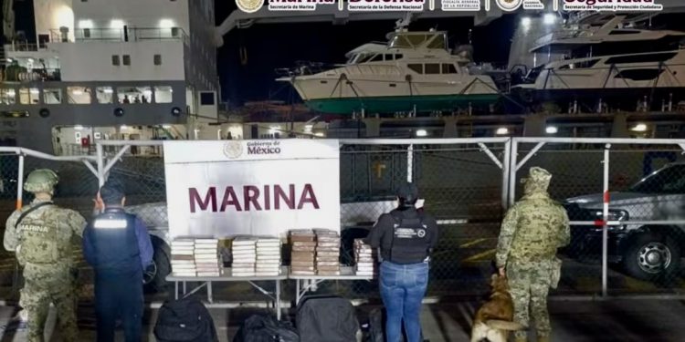 Golpe al narcotráfico en Baja California, 200 kilos de cocaína valuada en más de 48 mdp