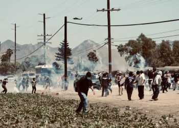 ICE realiza redada masiva en granja agrícola de Camarillo, California; reportan enfrentamientos y uso de gas lacrimógeno