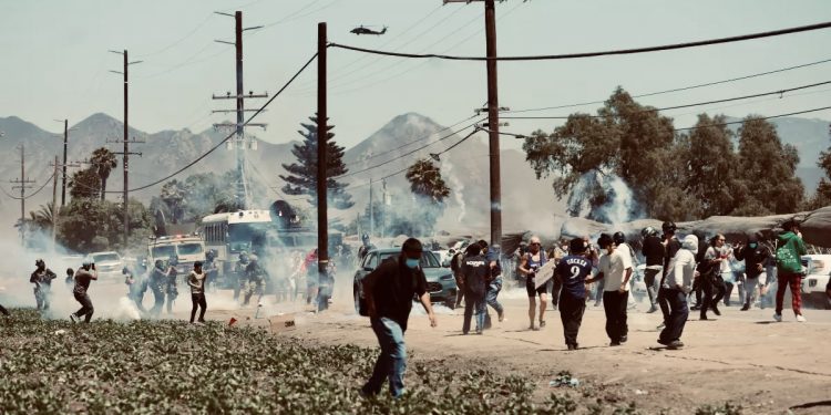 ICE realiza redada masiva en granja agrícola de Camarillo, California; reportan enfrentamientos y uso de gas lacrimógeno