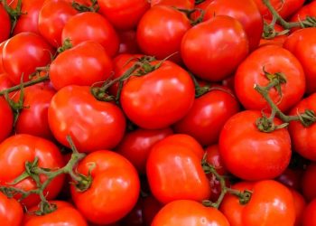 México rechaza arancel al tomate impuesto por EEUU; es “injusto” y con motivación política