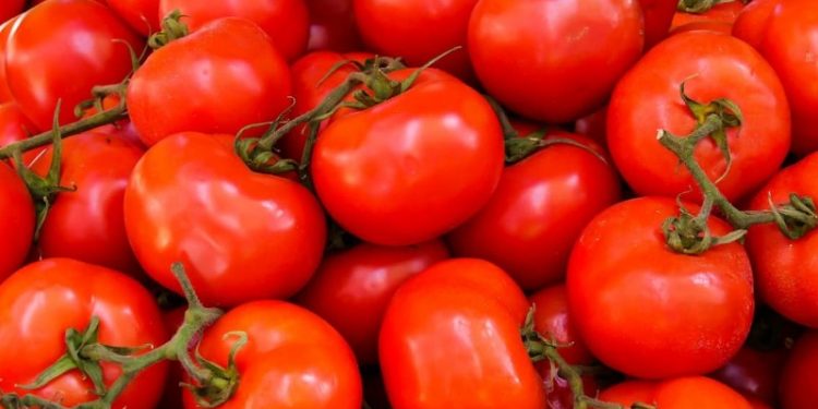 México rechaza arancel al tomate impuesto por EEUU; es “injusto” y con motivación política