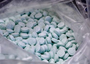 Sheinbaum destaca reducción del 50% en tráfico de fentanilo a EU; llama a corresponsabilidad