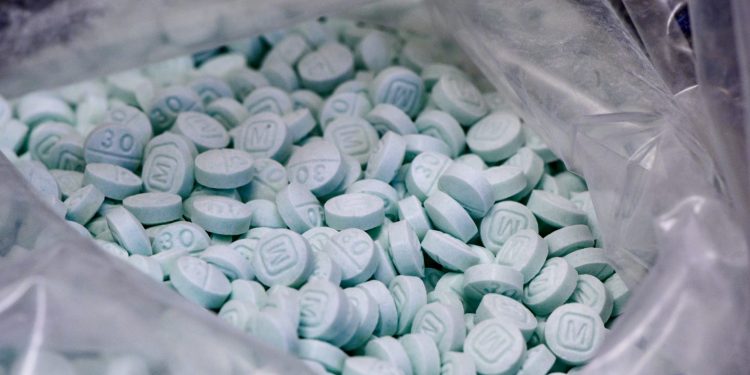 Sheinbaum destaca reducción del 50% en tráfico de fentanilo a EU; llama a corresponsabilidad