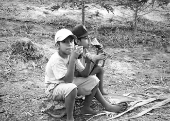 Asesina CJNG a padre y dos hijos en Aquila; acusan abandono del gobierno en Sierra-Costa de Michoacán