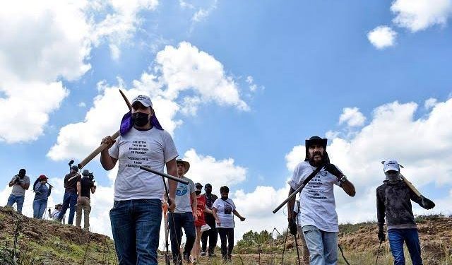 Avanza en el Senado designación del Consejo del Sistema Nacional de Búsqueda; comparecencias inician el 30 de julio