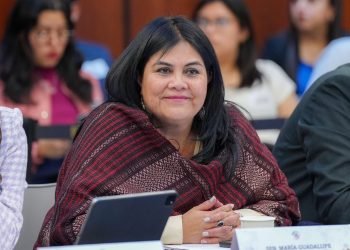 Guadalupe Chavira busca presidir la Mesa Directiva del Senado y llama a construir candidatura de unidad