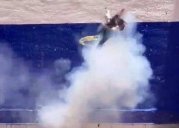 Gobernadora de Guanajuato condena ataque con pirotecnia a gato en Pénjamo; Fiscalía investiga a presuntos responsables