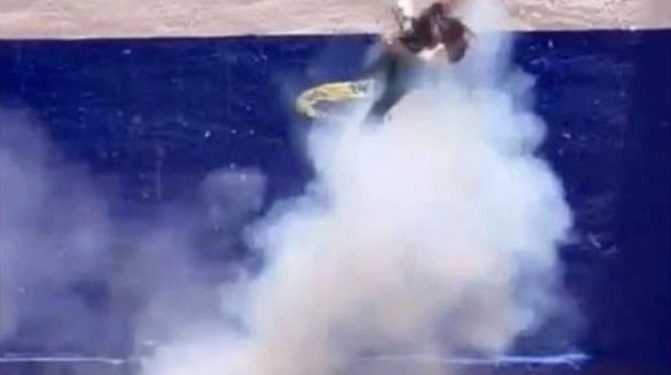 Gobernadora de Guanajuato condena ataque con pirotecnia a gato en Pénjamo; Fiscalía investiga a presuntos responsables