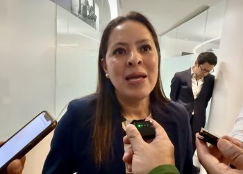 PVEM no dará “cheque en blanco” al gobierno en reforma electoral, advierte Karen Castrejón