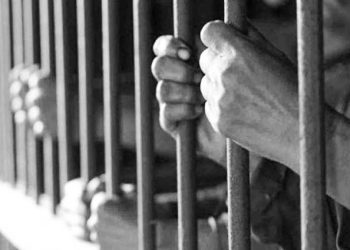 Se han concedido 479 amnistías entre agosto de 2024 y agosto de 2025: Segob