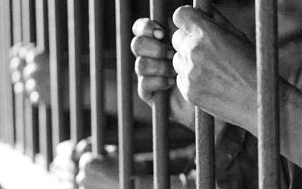 Se han concedido 479 amnistías entre agosto de 2024 y agosto de 2025: Segob