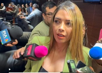 Ruth González afirma que el PVEM puede competir solo y no aplica regla de nepotismo