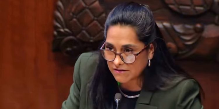 “Ya párenle”, senadora Sandra Luz Falcón exige a la oposición dejar insultos y acusaciones sin pruebas
