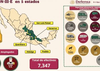 Sedena despliega más de 7 mil efectivos en cinco estados afectados por lluvias; refuerzan operaciones en Poza Rica y Álamo, Veracruz