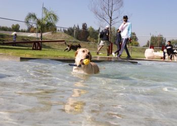 Gran aceptación entre los tecamaquenses el Parque Canino de Sierra Hermosa