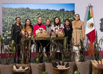 Oaxaca, rumbo a la autosuficiencia de maíz nativo con nuevo programa federal: Antonino Morales