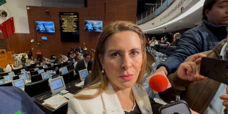 Viggiano denuncia que gobiernos de Morena buscan “cooptar” tribunales electorales locales en 13 estados