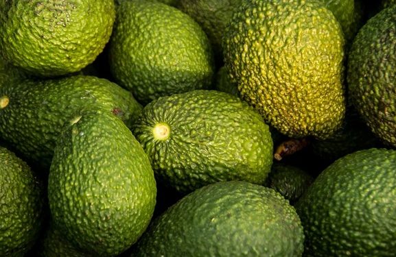 Senadora Mariela Gutiérrez propone abrir mercado estadounidense al aguacate mexiquense