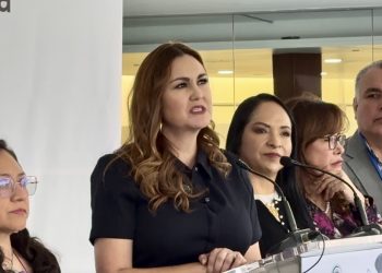 Reforma electoral sigue en construcción; PT evita adelantar postura sobre plurinominales