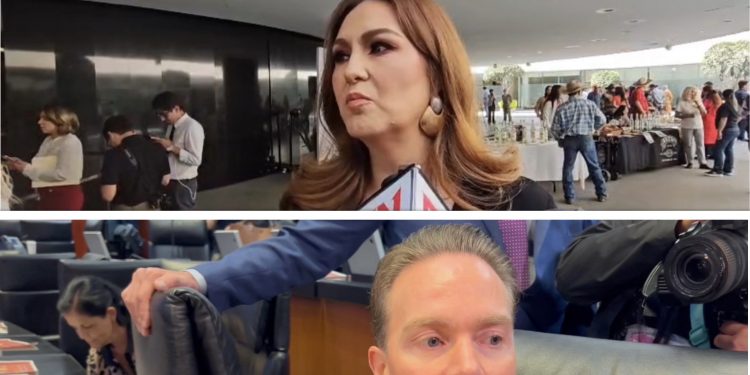 “No está garantizado el respaldo”: aliados reconocen desacuerdos en reforma electoral