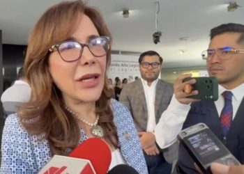 Polevnsky advierte: plurinominales sin recursos “no son viables” en reforma electoral