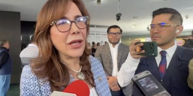 Polevnsky advierte: plurinominales sin recursos “no son viables” en reforma electoral