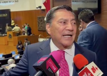 Revocación sin promoción oficial y cabildos más pequeños, eje de ajustes en Senado