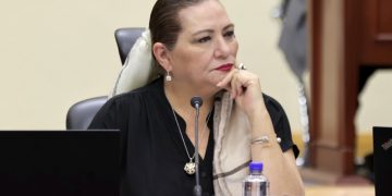 Senado revisará Plan B con Guadalupe Taddei antes de su votación en comisiones