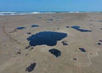 Sheinbaum anuncia grupo permanente para atender derrames en el Golfo de México