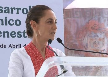 Borrador automático