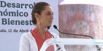 Borrador automático