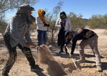 Desapariciones en México podrían ser crimen de lesa humanidad, advierte la ONU