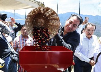 Ramírez Aguilar inyecta más de 103 mdp al café chiapaneco para reactivar la Sierra Mariscal