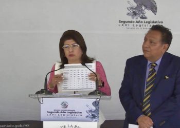 Admite Mariela Gutiérrez eutanasia de 10 mil perros en Tecámac y defiende que fue legal