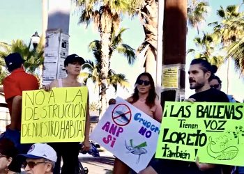 Susana Zatarain lleva al Senado rechazo social contra megapuerto en Loreto
