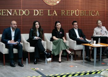 Karla Estrella acusa que leyes pueden convertirse en “mordaza” para ciudadanos