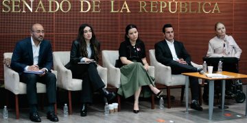 Karla Estrella acusa que leyes pueden convertirse en “mordaza” para ciudadanos