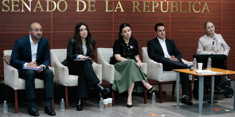 Karla Estrella acusa que leyes pueden convertirse en “mordaza” para ciudadanos