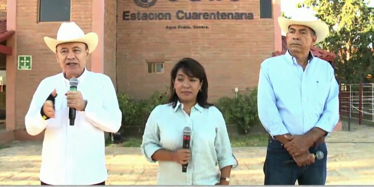 Sonora reabre exportación de ganado a EU con capacidad sanitaria reforzada