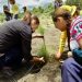 Sheinbaum decreta Jornada Nacional de Reforestación cada segundo domingo de agosto