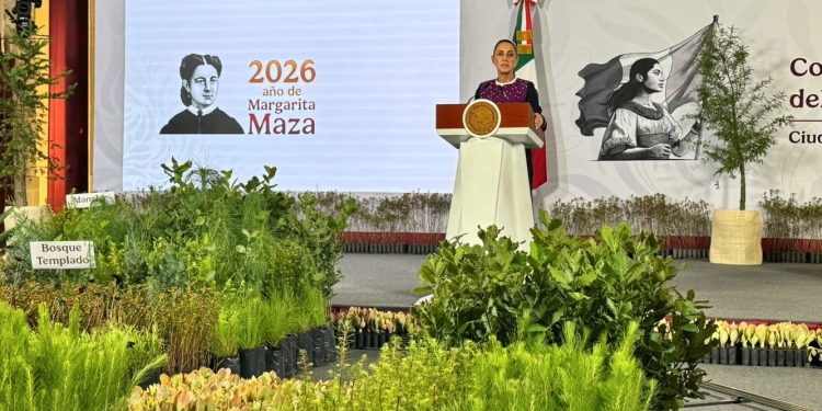 Sheinbaum lanza la primera Jornada Nacional de Reforestación; sembrarán 6.6 millones de árboles