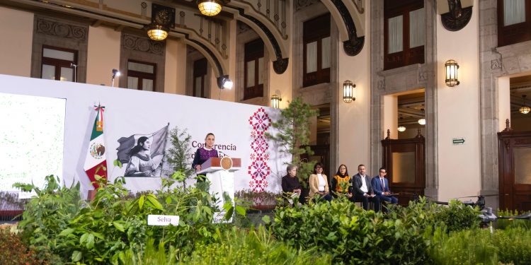 Sheinbaum lanza la primera Jornada Nacional de Reforestación; sembrarán 6.6 millones de árboles
