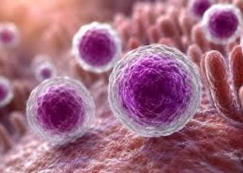 Confirma Salud 33 casos de ciclosporiasis, pero descarta evidencia que vincule brote en EU
