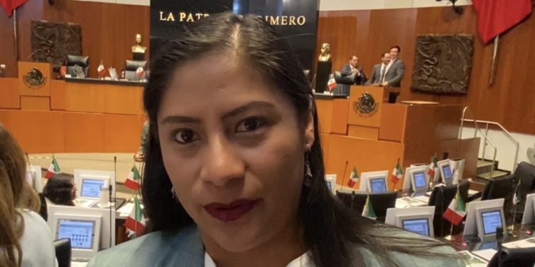 Reyna Celeste Ascencio reconoce falta de “piso parejo” en proceso de Michoacán; pide respetar encuestas y mantener la unidad