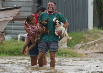 Polo deja saldo blanco en Baja California Sur; 700 personas regresan a sus hogares