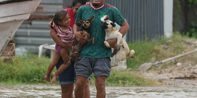Polo deja saldo blanco en Baja California Sur; 700 personas regresan a sus hogares