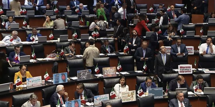Senado aprueba nueva Ley de Protección Animal; habrá registro nacional y multas 