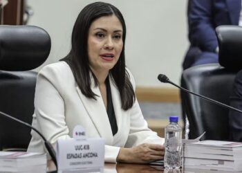 Tras renuncia de Taddei, Blanca Cruz García asume presidencia provisional del INE por unanimidad