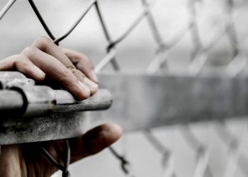 Pobreza, principal causa para conceder amnistía a 442 personas; jueces avalan 425 casos